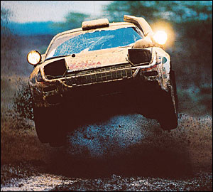 Regresso do Safari adiado para 2021